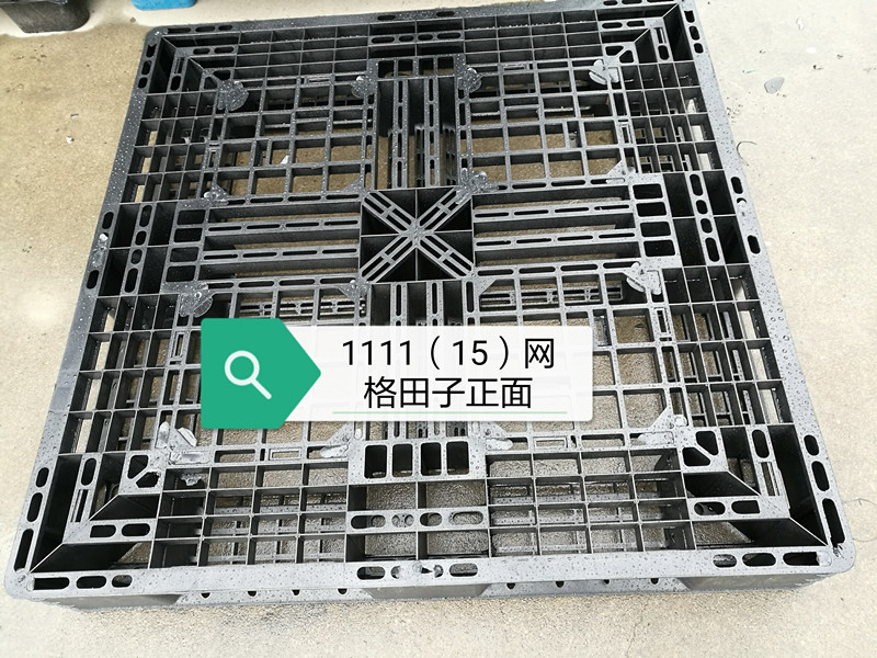 網(wǎng)格田子正面1111（15）